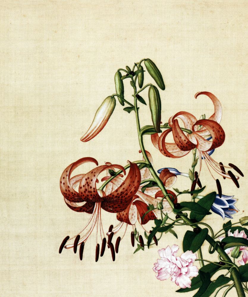 11百合花缠枝牡丹图仙萼长春图最佳版高清大图下载