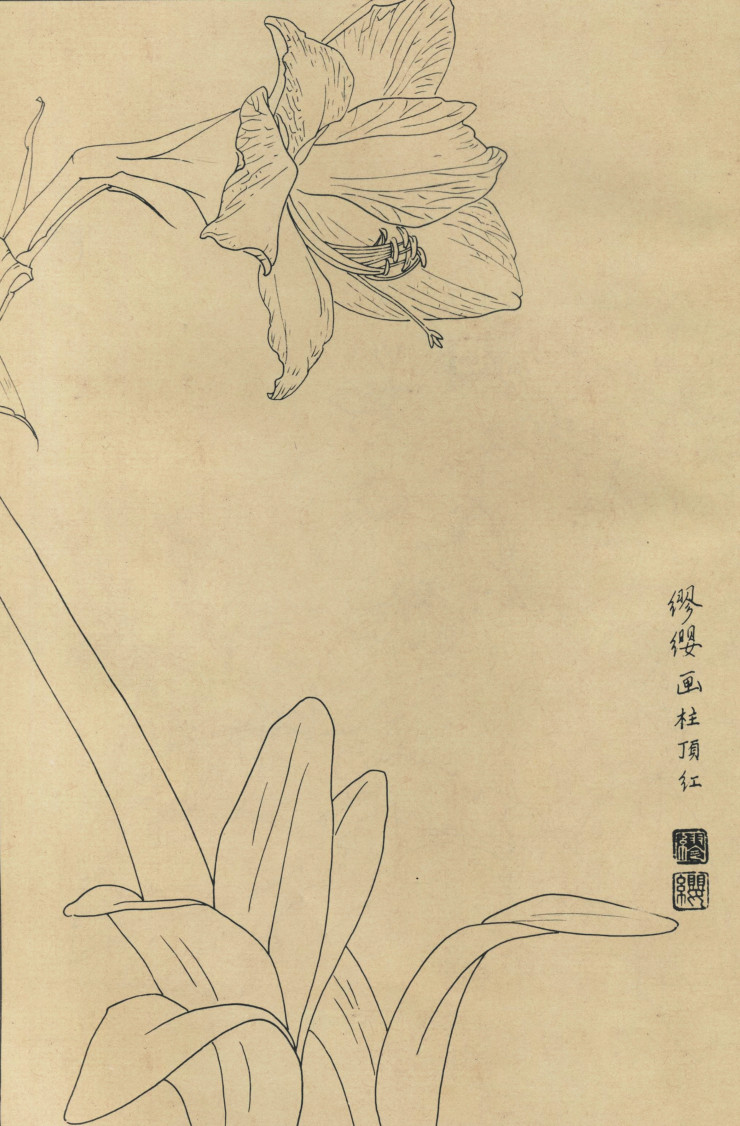 百花图谱22 柱顶红 高清大图下载