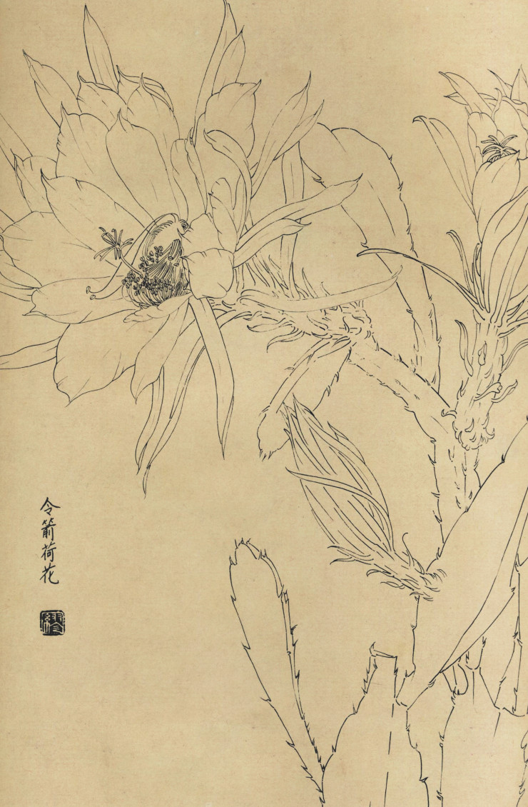 百花图谱71 令箭荷花 高清大图下载