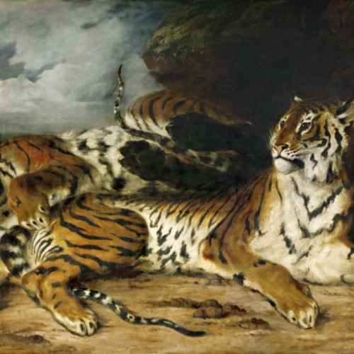 德拉克洛瓦油画《一只小老虎在和它的妈妈玩耍》高清大图-040