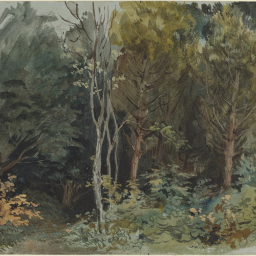 《诺汉森林的边缘》德拉克洛瓦油画高清大图34