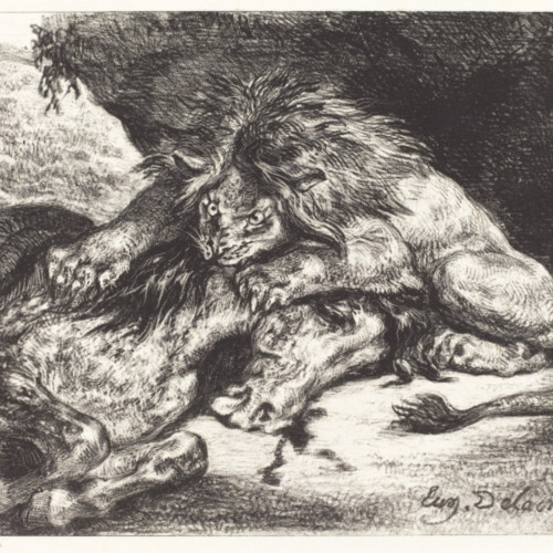 狮子进食手稿 德拉克洛瓦油画高清大图23