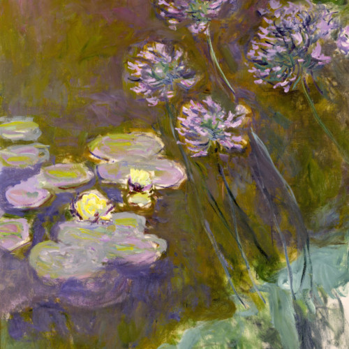 睡莲和龙舌兰-13-莫奈-Water Lilies and Agapanthus