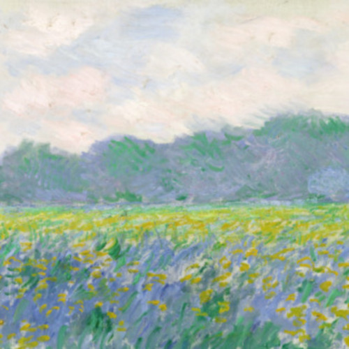 吉弗尼的黄鸢尾园-48-莫奈-Field of Yellow Irises at Giverny, 1887