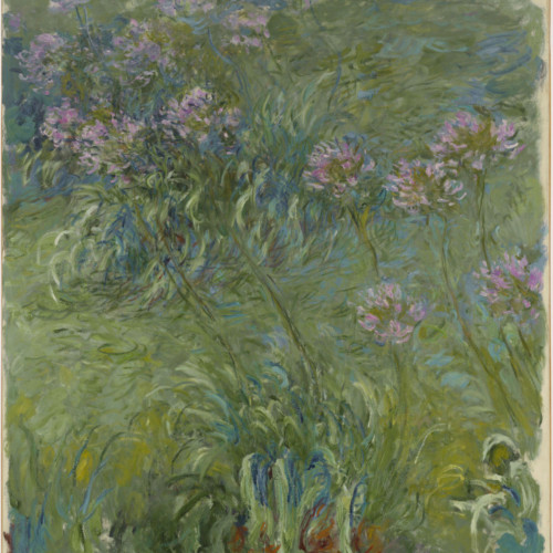 阿伽帕托斯-97-莫奈-Agapanthus, 1914-17