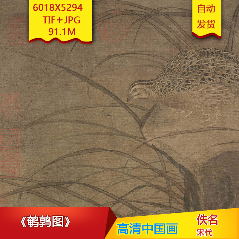 《鹌鹑图》宋代佚名作品6018X5294像素高清国画装饰画素材