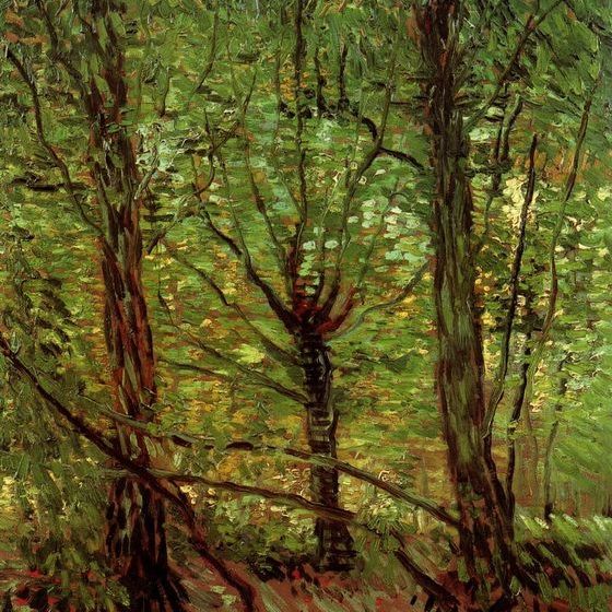树和灌木丛 1887年6月-梵...