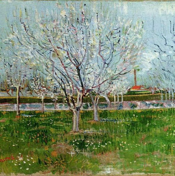 盛开的果树园-梵高油画作品
