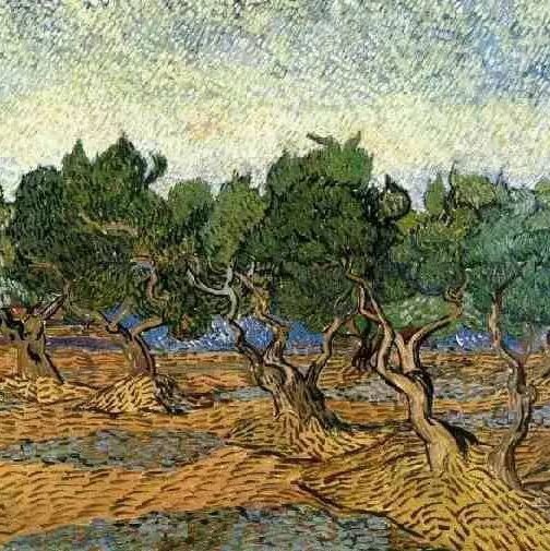 橄榄树-梵高油画作品