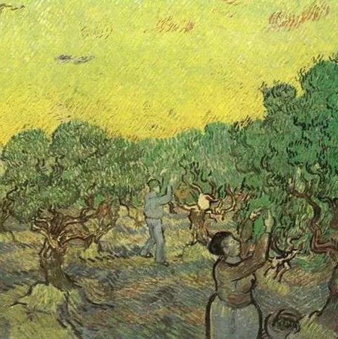 采摘橄榄的人-梵高油画作品