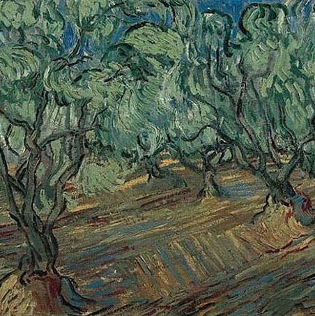 橄榄树林-梵高油画作品
