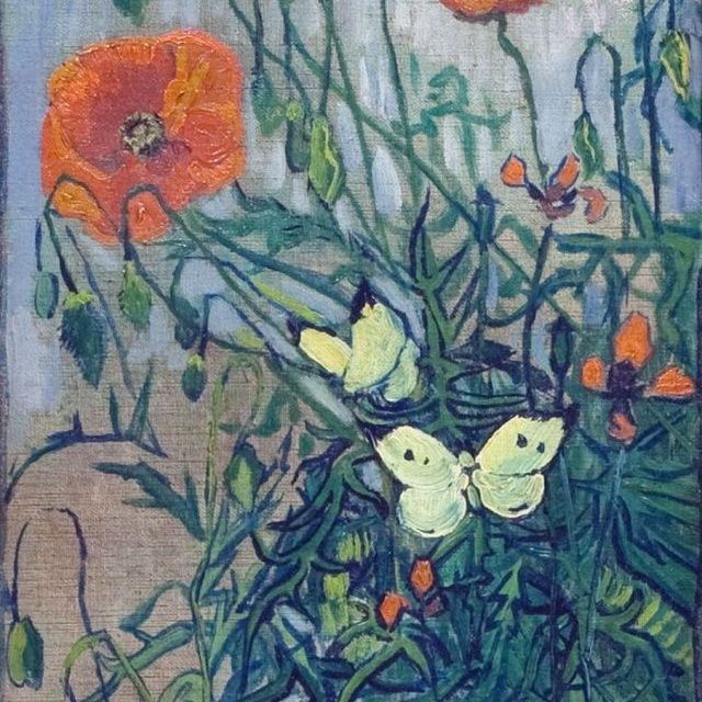 罂粟和蝴蝶-梵高油画作品