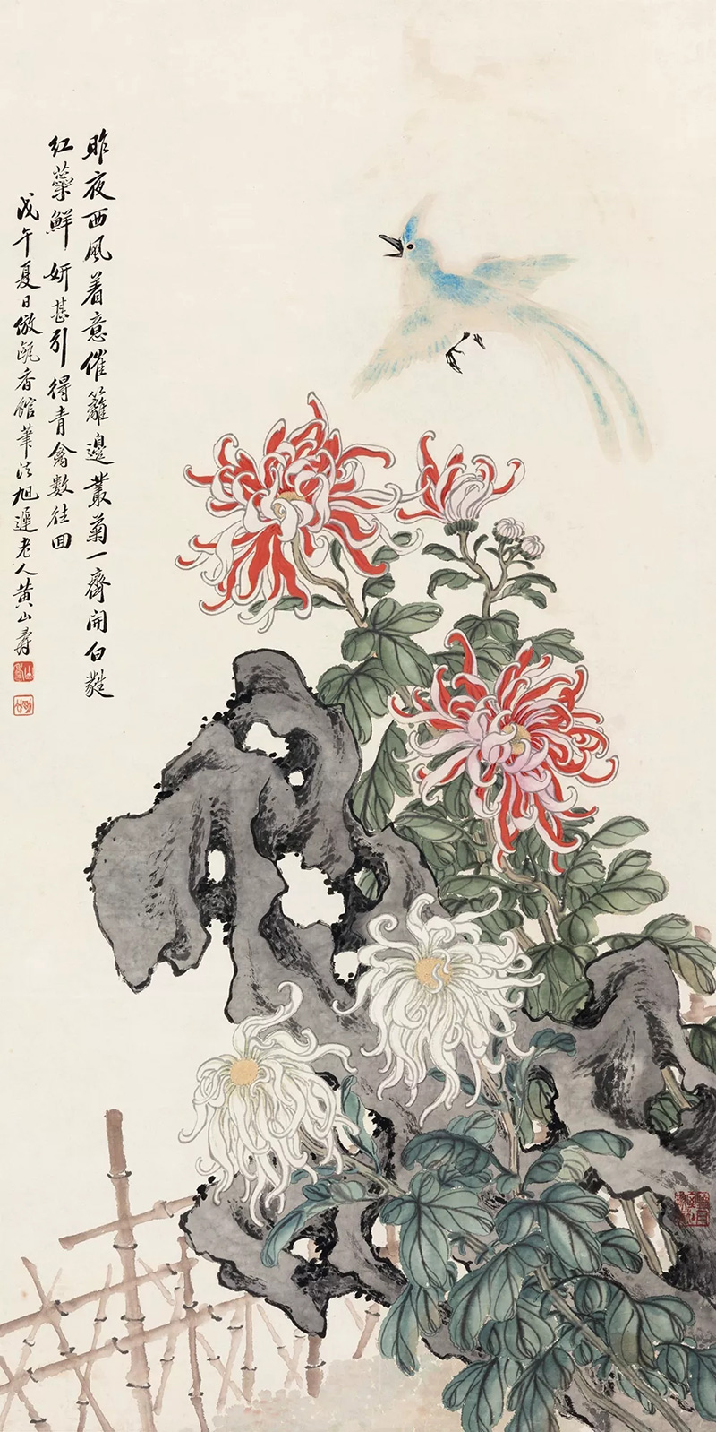 重阳话菊