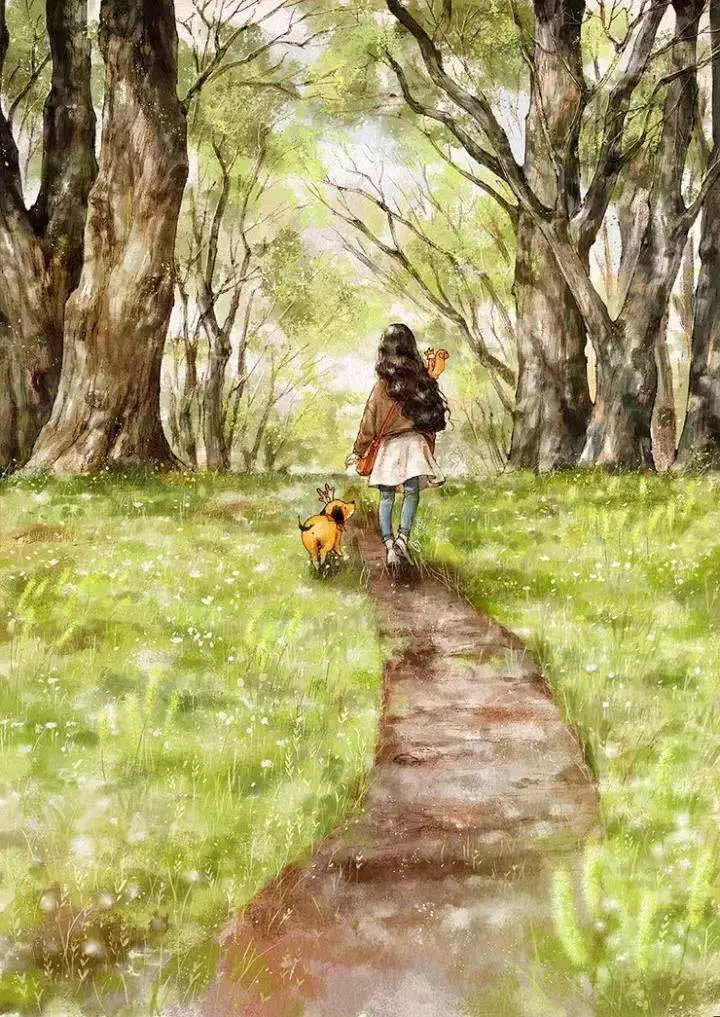 韩国插画师笔下的森林故事