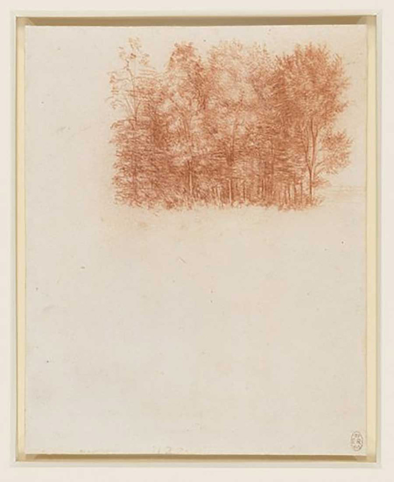 达·芬奇，《群树》，约1500-1510年