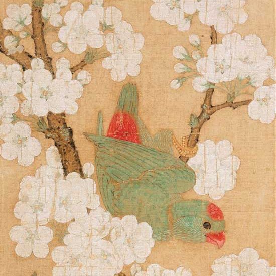 千年丹青 国宝再现：清新生动的《梨花鹦鹉图》
